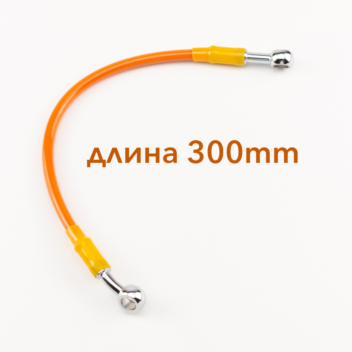 IMG_2557_ копия