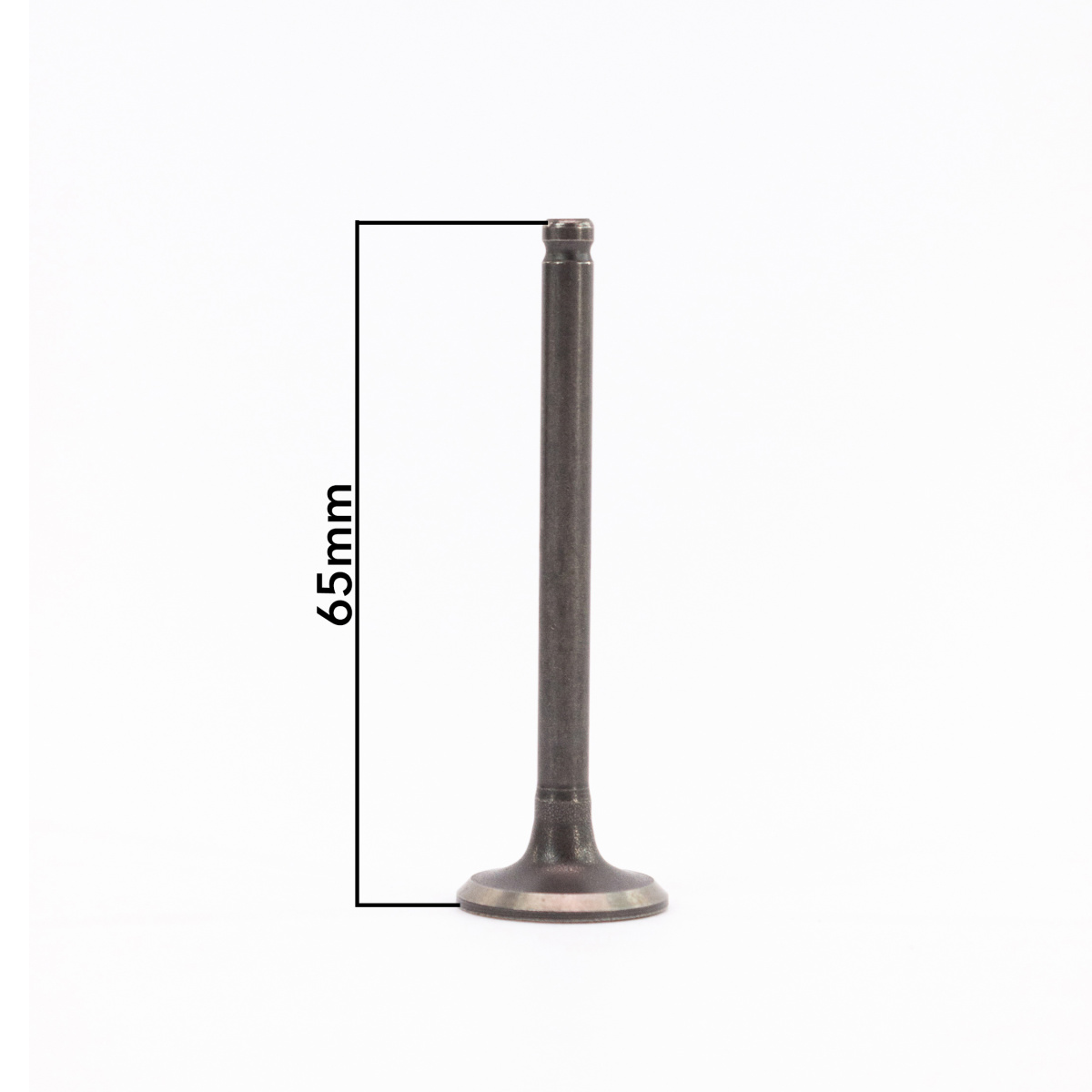 IMG_8220_ копия