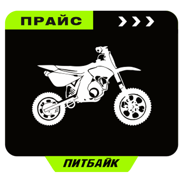 Ремонт питбайка